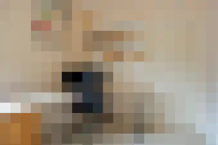 Gierelaar 87 Wouw thumbnail 26