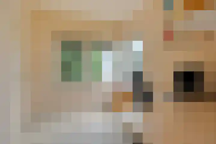 Gierelaar 87 Wouw thumbnail 27