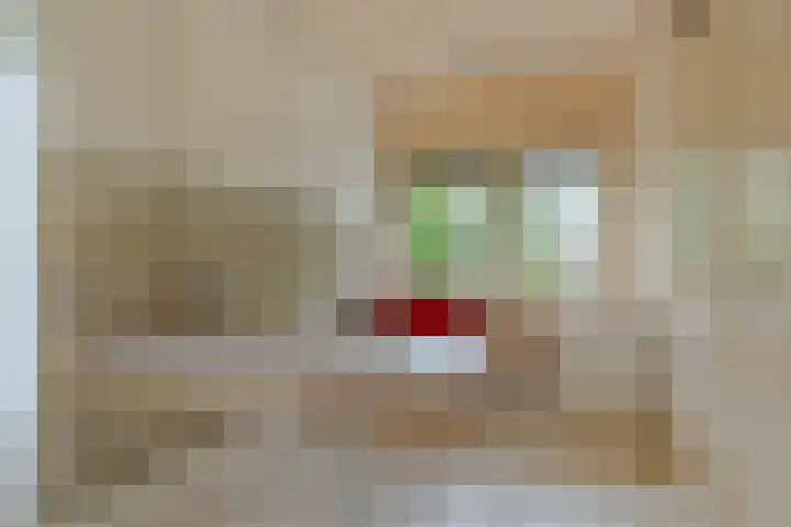 Gierelaar 87 Wouw thumbnail 28