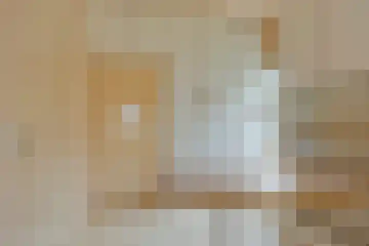 Gierelaar 87 Wouw thumbnail 29