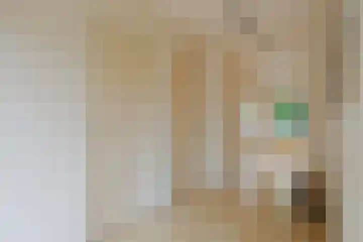 Gierelaar 87 Wouw thumbnail 30