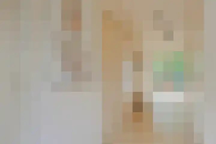 Gierelaar 87 Wouw thumbnail 31
