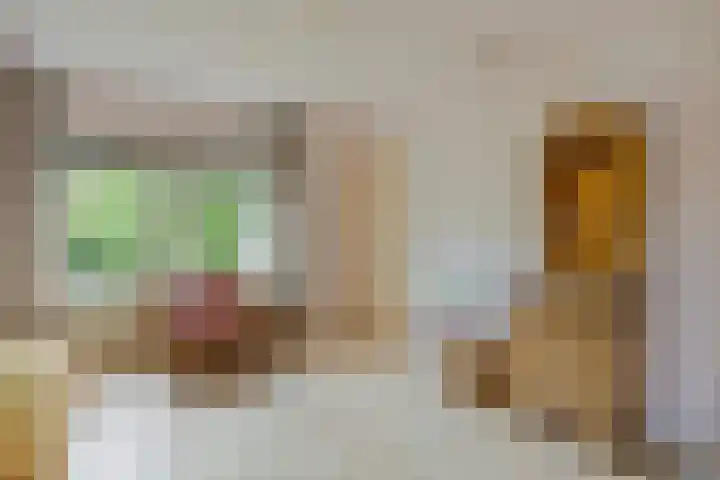 Gierelaar 87 Wouw thumbnail 34