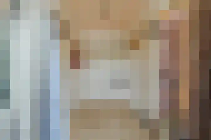 Gierelaar 87 Wouw thumbnail 36