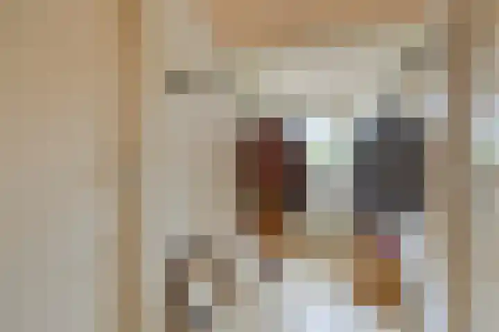 Gierelaar 87 Wouw thumbnail 37