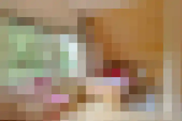 Gierelaar 87 Wouw thumbnail 40