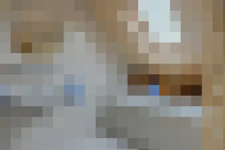 Gierelaar 87 Wouw thumbnail 42