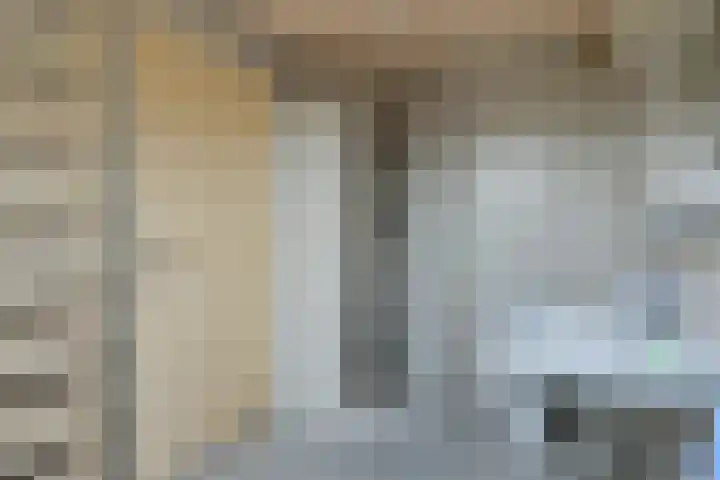 Gierelaar 87 Wouw thumbnail 43