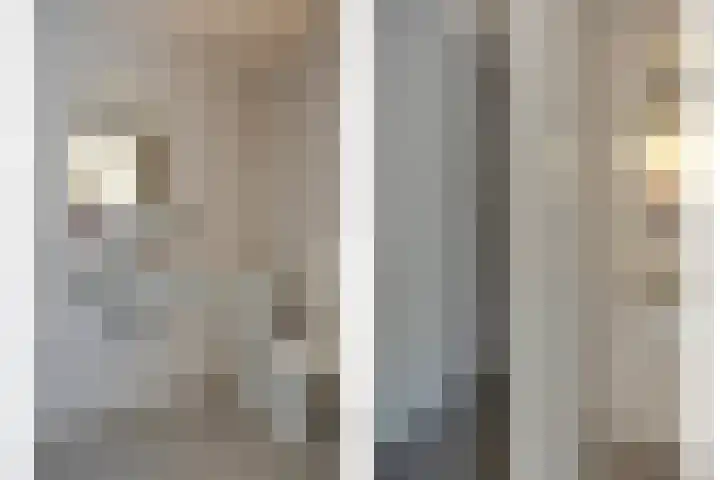 Gierelaar 87 Wouw thumbnail 45