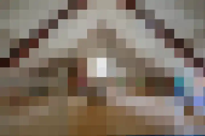 Gierelaar 87 Wouw thumbnail 46