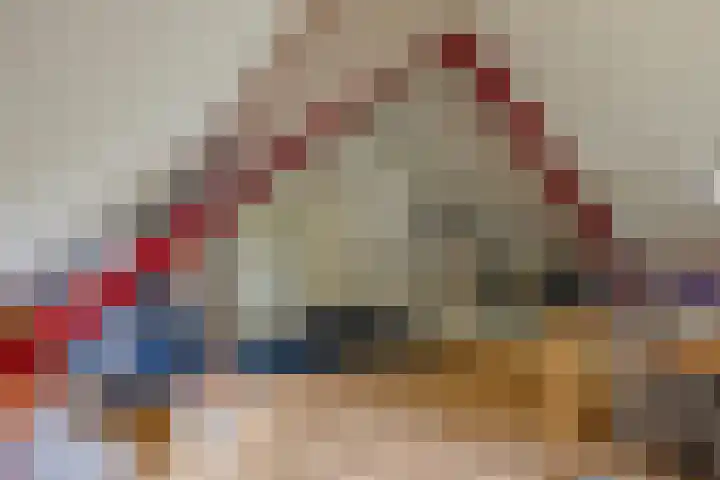 Gierelaar 87 Wouw thumbnail 47