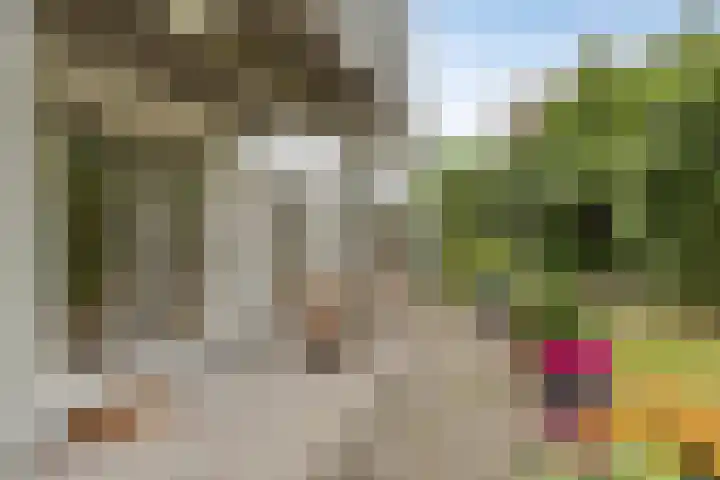 Gierelaar 87 Wouw thumbnail 48