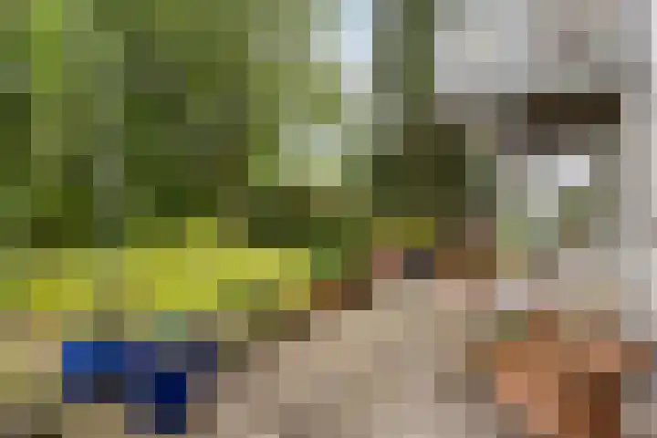 Gierelaar 87 Wouw thumbnail 49