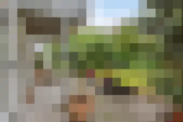Gierelaar 87 Wouw thumbnail 50