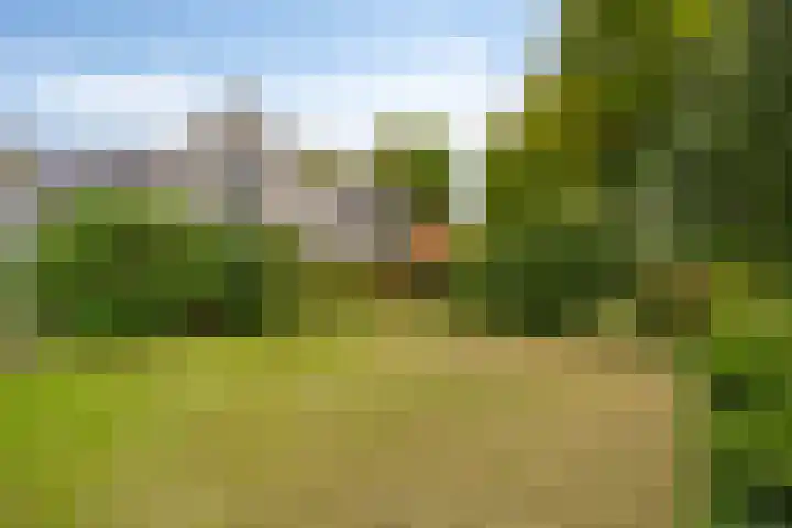 Gierelaar 87 Wouw thumbnail 51