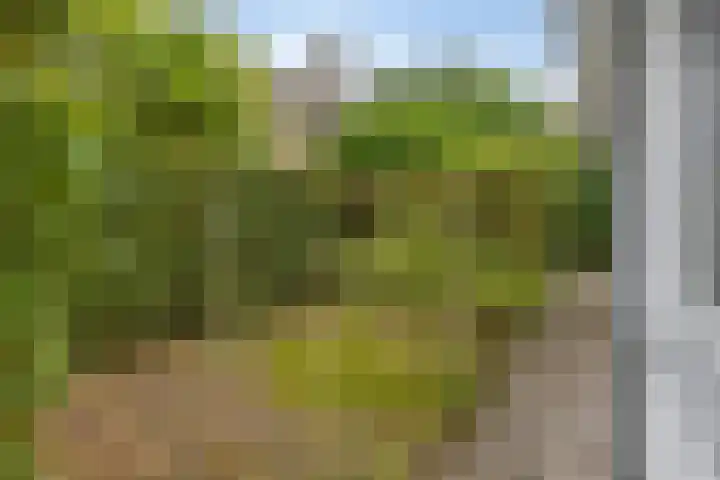 Gierelaar 87 Wouw thumbnail 52