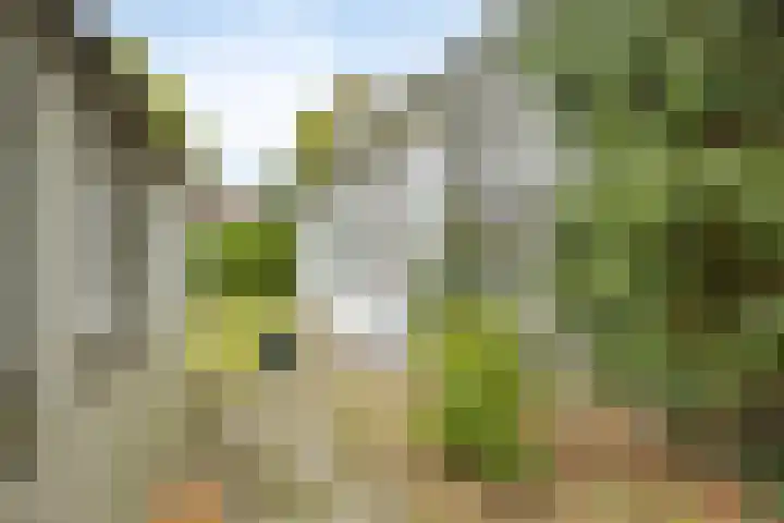 Gierelaar 87 Wouw thumbnail 54