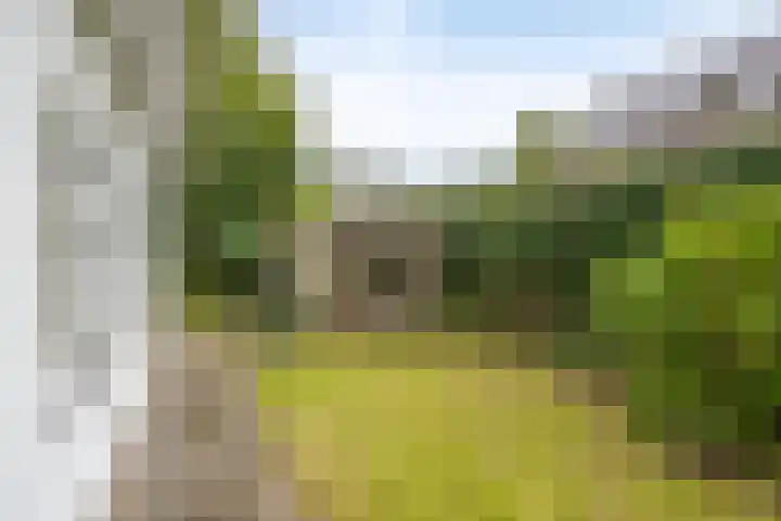 Gierelaar 87 Wouw thumbnail 55