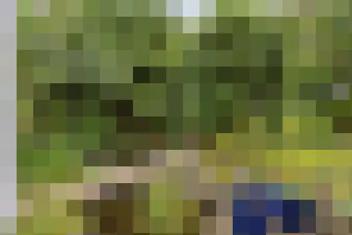 Gierelaar 87 Wouw thumbnail 58