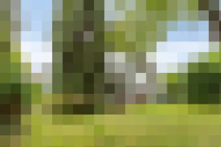 Gierelaar 87 Wouw thumbnail 59