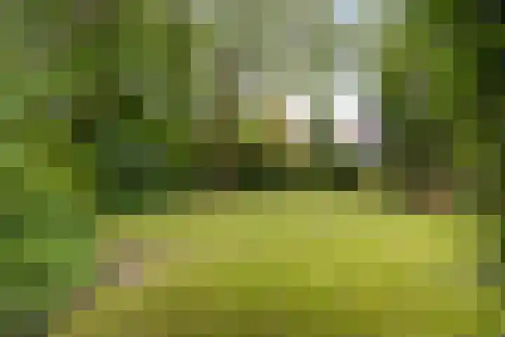Gierelaar 87 Wouw thumbnail 6