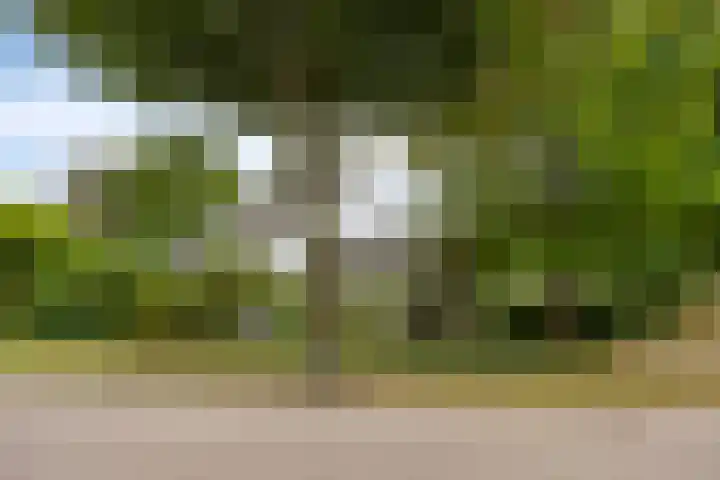 Gierelaar 87 Wouw thumbnail 60