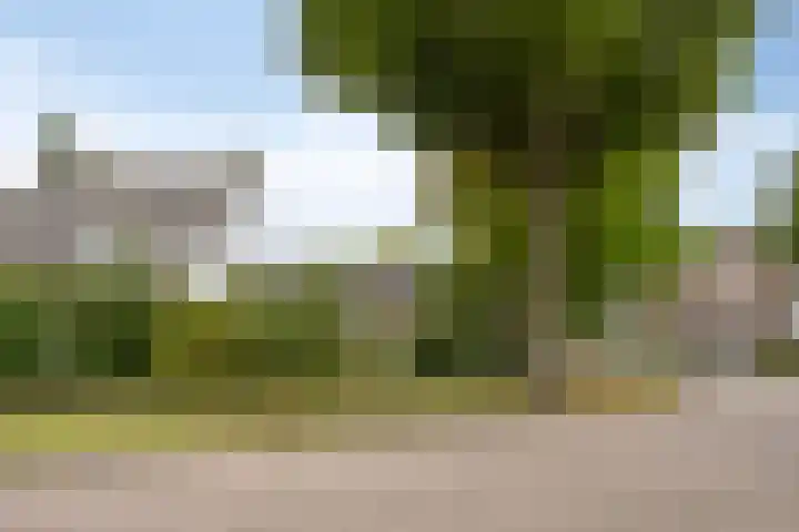 Gierelaar 87 Wouw thumbnail 61