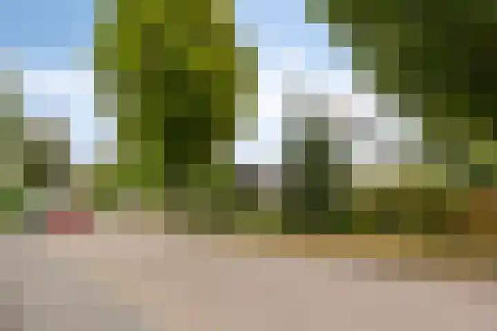 Gierelaar 87 Wouw thumbnail 62