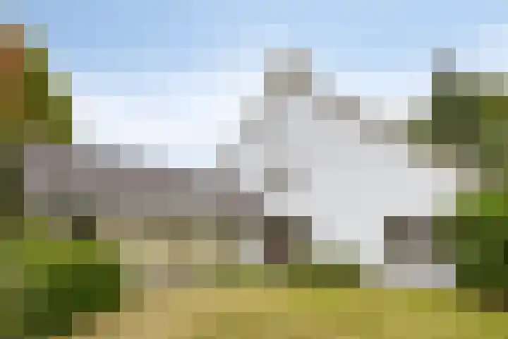 Gierelaar 87 Wouw thumbnail 63