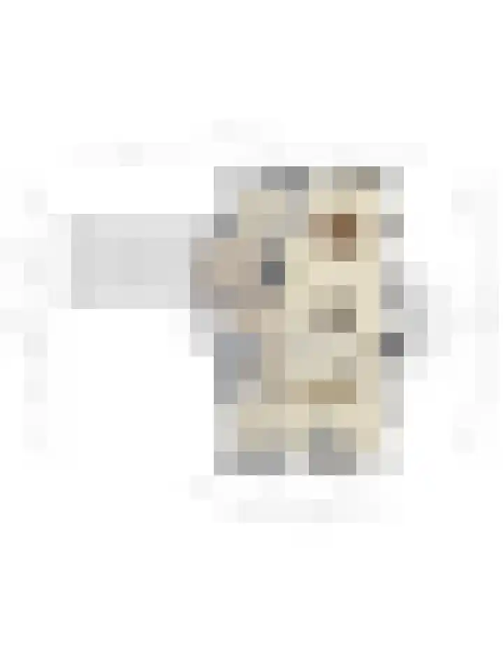 Gierelaar 87 Wouw thumbnail 64