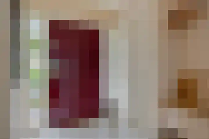 Gierelaar 87 Wouw thumbnail 7