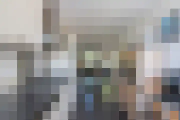 Gierelaar 91 Wouw thumbnail 11