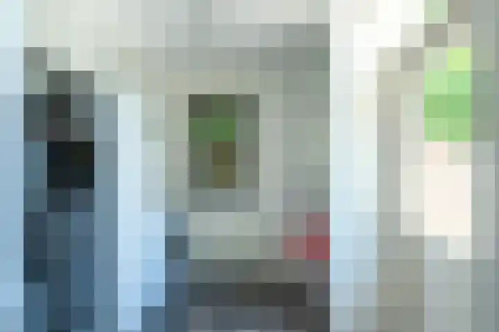 Gierelaar 91 Wouw thumbnail 12