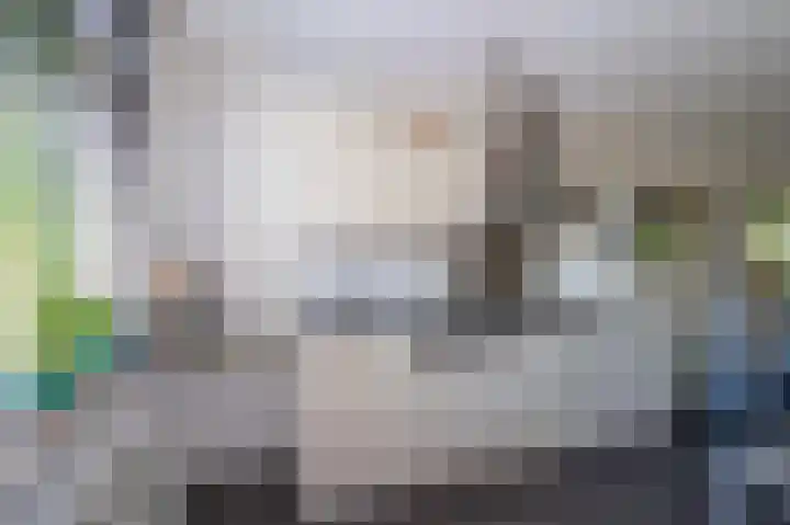 Gierelaar 91 Wouw thumbnail 13