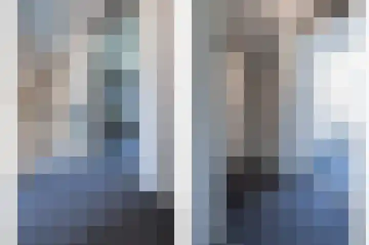Gierelaar 91 Wouw thumbnail 14