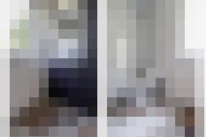 Gierelaar 91 Wouw thumbnail 15