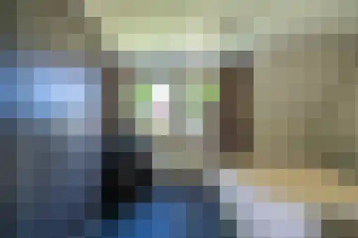 Gierelaar 91 Wouw thumbnail 16