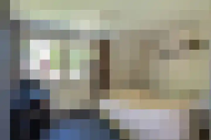 Gierelaar 91 Wouw thumbnail 17