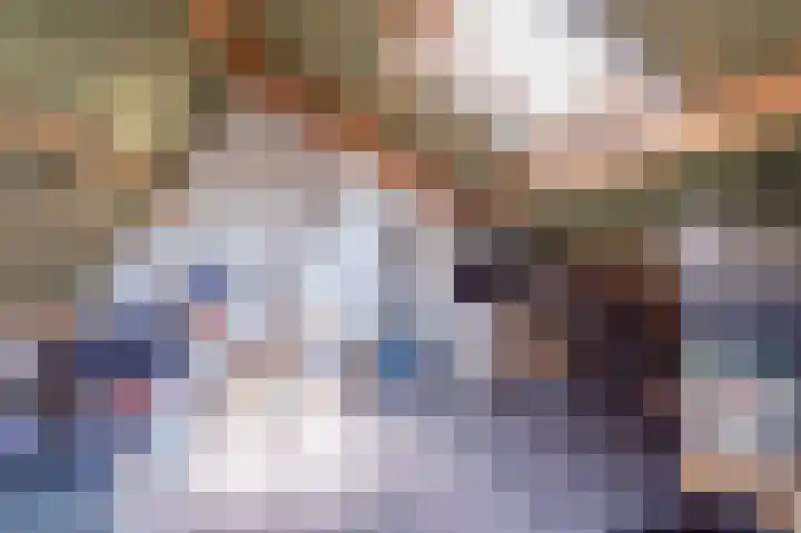 Gierelaar 91 Wouw thumbnail 21