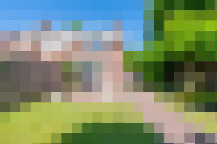Gierelaar 91 Wouw thumbnail 23