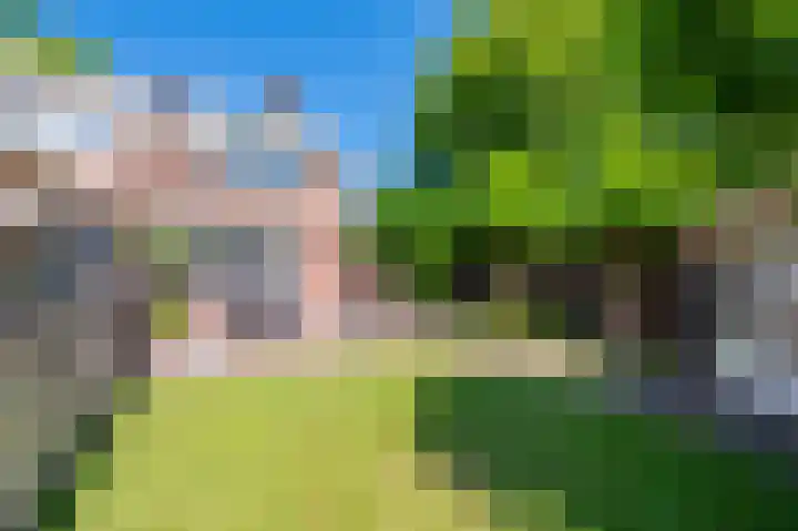 Gierelaar 91 Wouw thumbnail 24