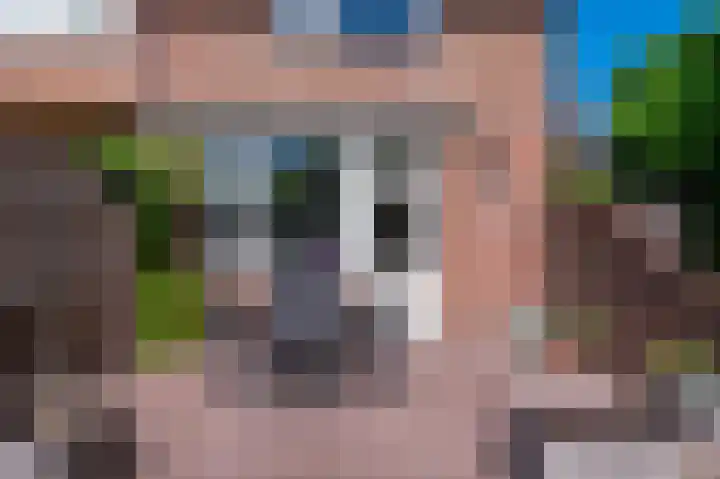 Gierelaar 91 Wouw thumbnail 25