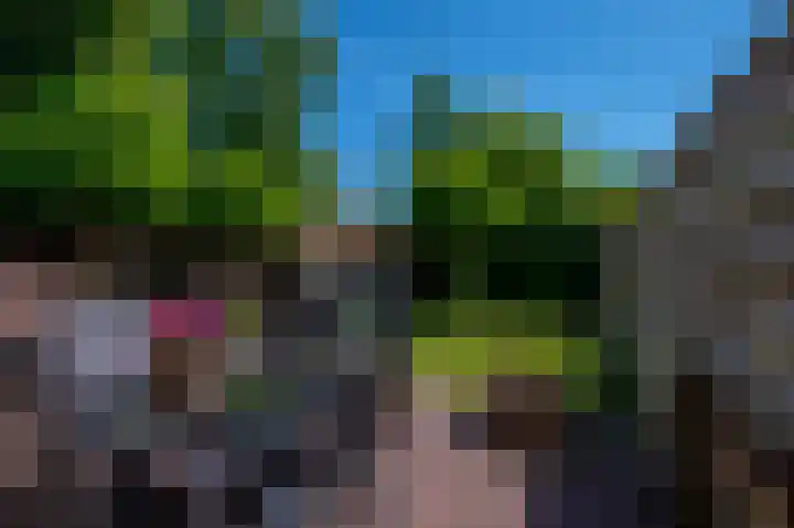 Gierelaar 91 Wouw thumbnail 26