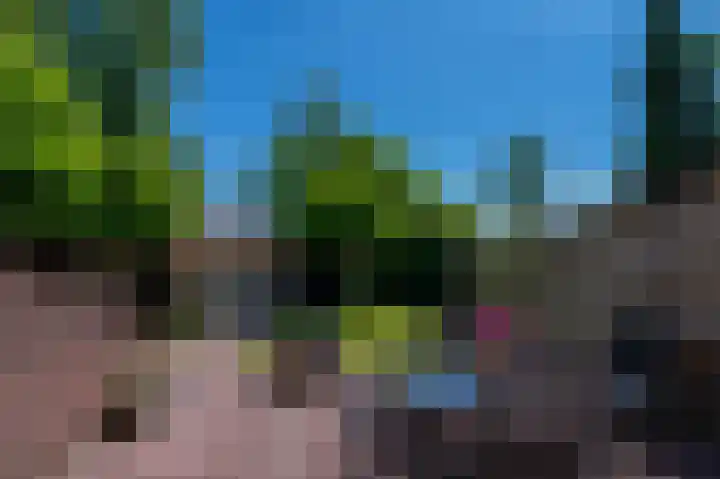 Gierelaar 91 Wouw thumbnail 27
