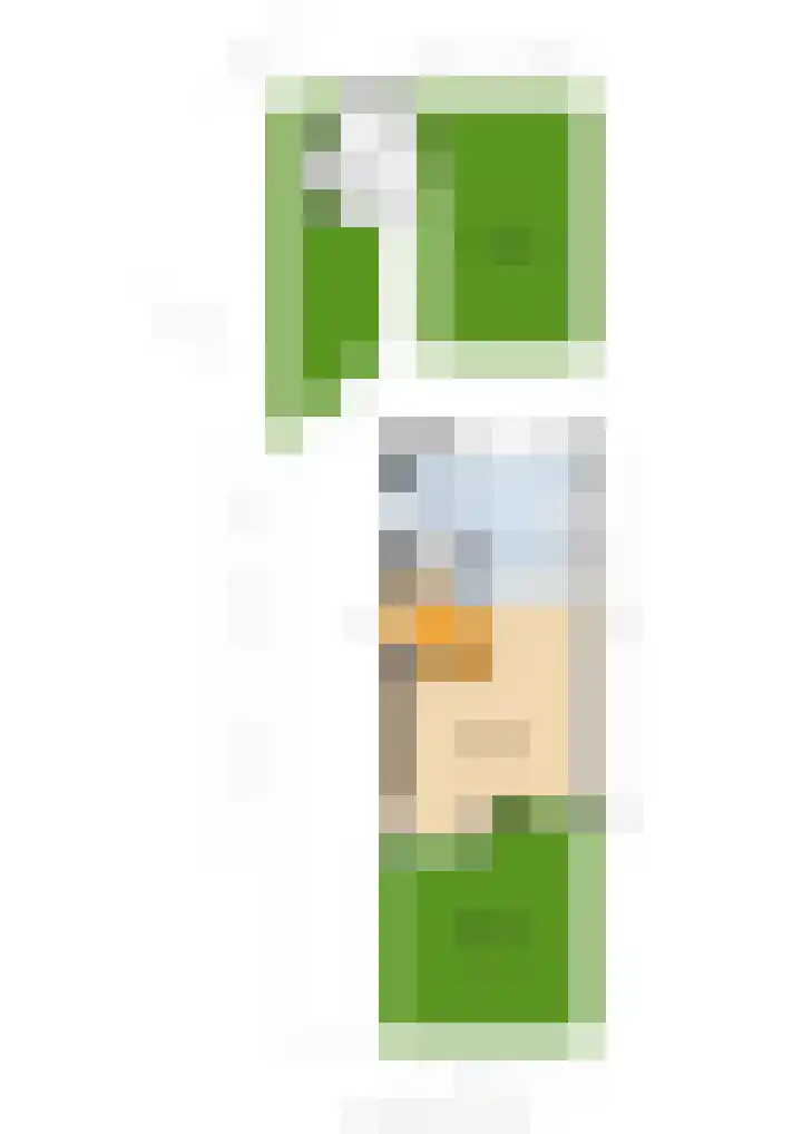Gierelaar 91 Wouw thumbnail 31