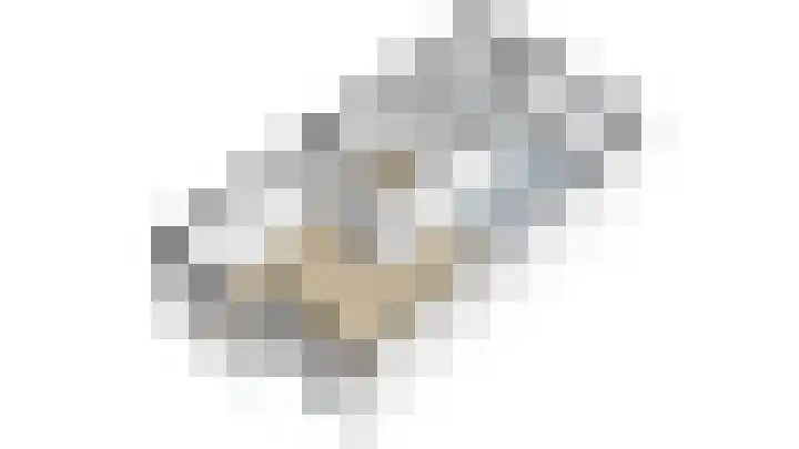 Gierelaar 91 Wouw thumbnail 32