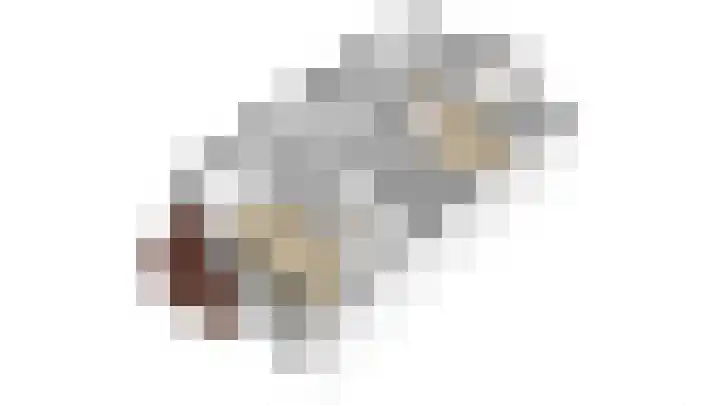 Gierelaar 91 Wouw thumbnail 33