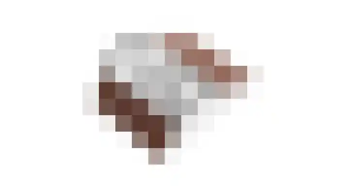 Gierelaar 91 Wouw thumbnail 34