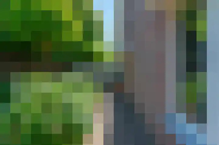Gierelaar 91 Wouw thumbnail 4