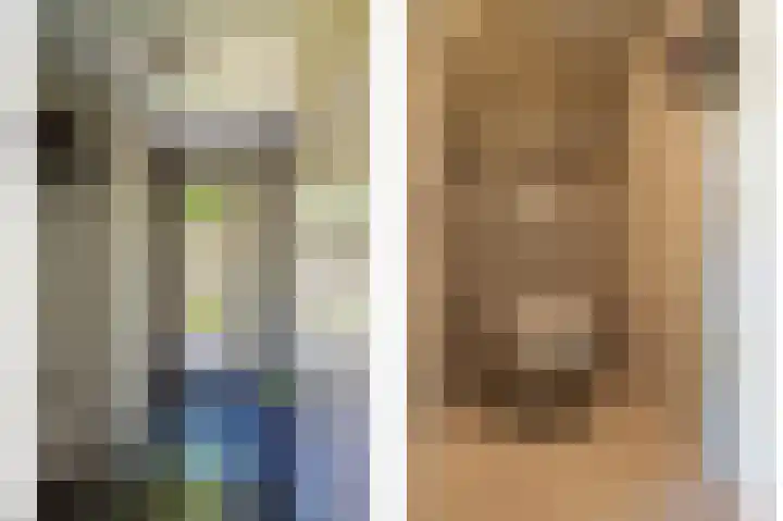 Gierelaar 91 Wouw thumbnail 5